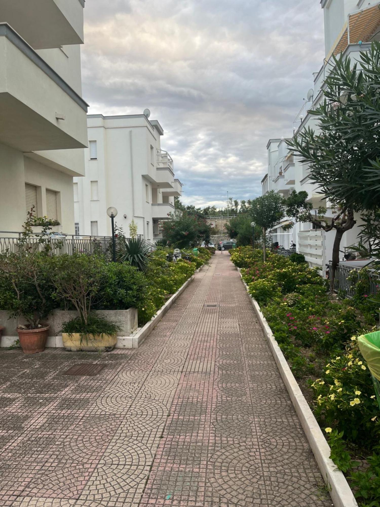 La Venere Del Mare Apartment ฟอสซาเชเซีย ภายนอก รูปภาพ